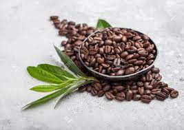 What Are The Best Coffee Beans?