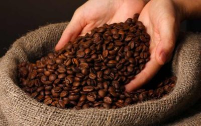 The Best Reasons to Buy Wholesale Coffee